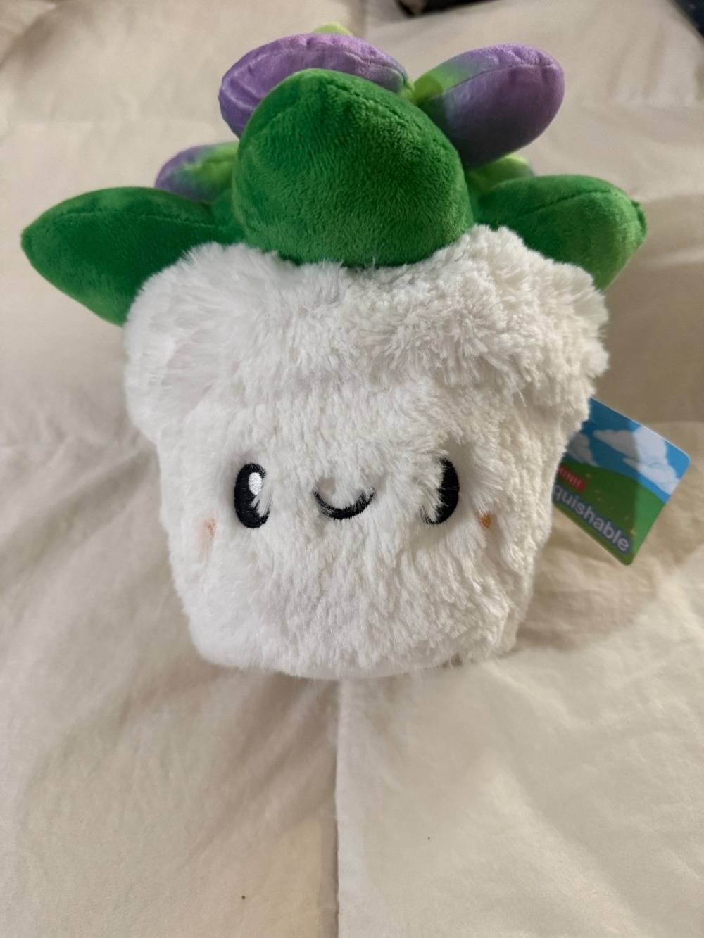 Squishable Mini Succulent 7in Plush